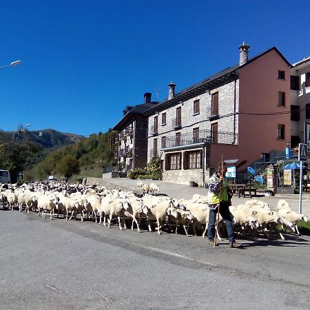 Albergue El Ultimo Bucardo Linás de Broto Eksteriør billede